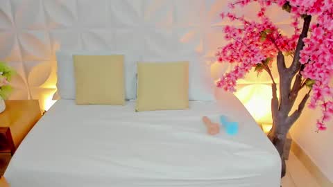 Snapshot of ashleey_sweet_ chatting on 02/09/25, 03:00 ASHLEY online show from 02/09/25, 03:00