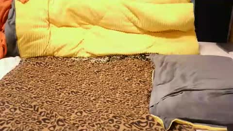 ashlery  online show from 11/17/25, 04:18