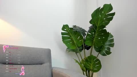 ashllovee online show from 01/23/25, 04:09