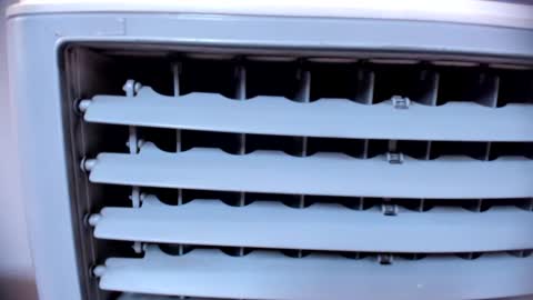 ashlybenison online show from 01/25/25, 07:38