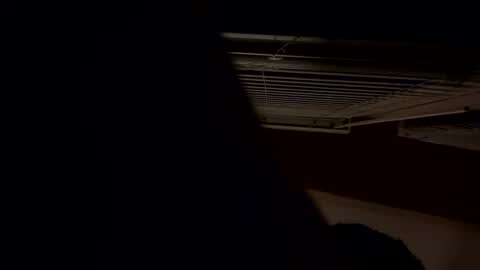 ashlynnblackx online show from 04/21/26, 04:41