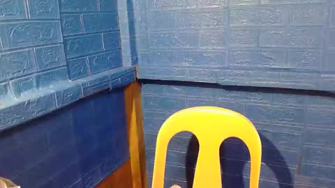 asian_decy online show from 02/20/26, 02:30