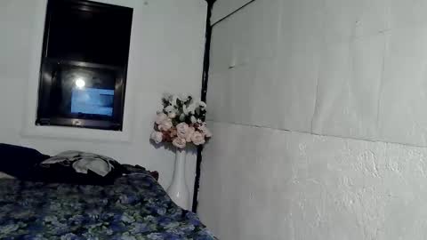 Snapshot of asianladyboy888 chatting on 09/26/25, 09:46 asianladyboy888 online show from 09/26/25, 09:46