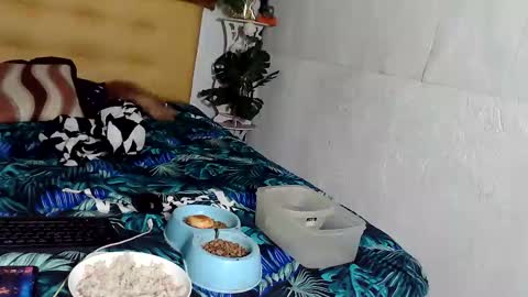 Snapshot of asianladyboy888 chatting on 11/24/25, 04:07 asianladyboy888 online show from 11/24/25, 04:07