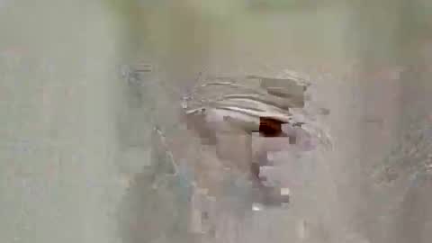 asifzamma online show from 04/25/26, 08:50