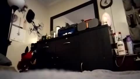 askme2shou online show from 11/27/25, 09:33