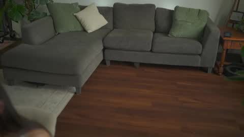 Aspen Wild online show from 03/28/26, 04:17