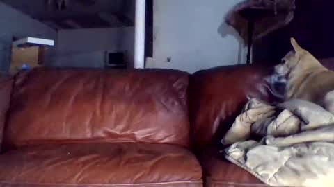 Tell me spread and Ill spread online show from 12/15/25, 01:43