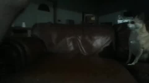 Tell me spread and Ill spread online show from 06/02/26, 04:03
