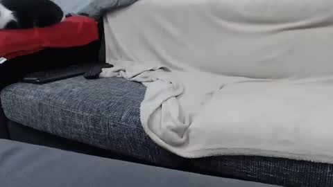 Snapshot of asshunnter chatting on 01/16/25, 06:59 MARCO online show from 01/16/25, 06:59