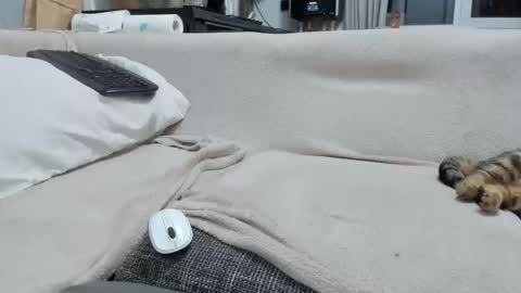 Snapshot of asshunnter chatting on 12/02/25, 04:57 MARCO online show from 12/02/25, 04:57