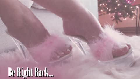 ASSleigh Abbott online show from 12/17/24, 07:48