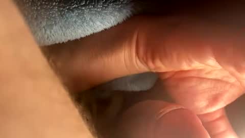 asterwix online show from 09/21/25, 01:46