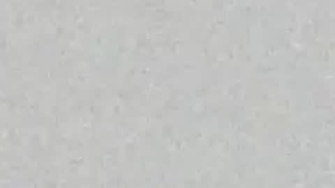 Carolina online show from 07/23/26, 12:25