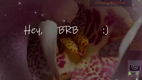 Snapshot of atrena chatting on 01/10/26, 01:51 Atrena online show from 01/10/26, 01:51