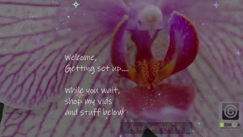 Snapshot of atrena chatting on 01/13/26, 01:00 Atrena online show from 01/13/26, 01:00