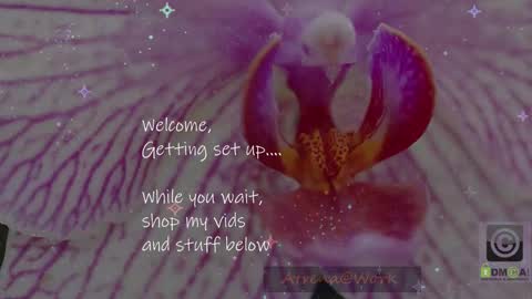 Snapshot of atrena chatting on 01/15/26, 02:38 Atrena online show from 01/15/26, 02:38