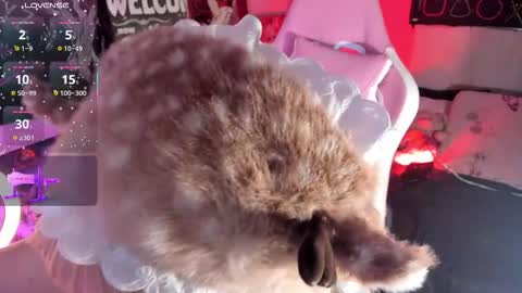 Aurora Channn online show from 11/27/25, 10:34