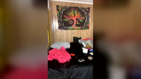 Destiny Nicole online show from 05/30/26, 02:08
