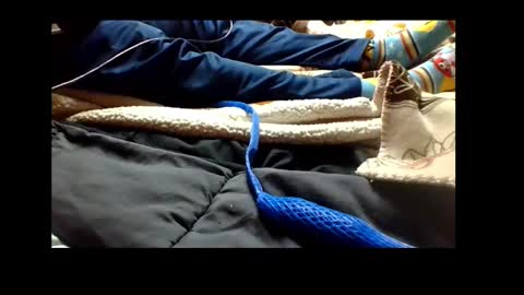 Snapshot of automaticmechanic chatting on 12/04/24, 04:38 Senior Agua online show from 12/04/24, 04:38