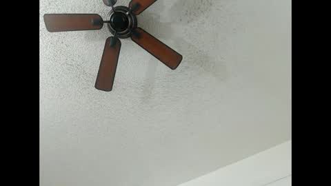 Lily  Orion online show from 02/13/25, 01:19