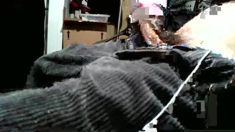 Snapshot of averagecharles757569 chatting on 10/09/25, 05:27 averagecharles757569 online show from 10/09/25, 05:27