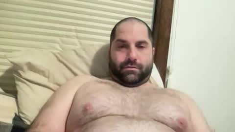 averagejoe345977 online show from 02/26/26, 08:52