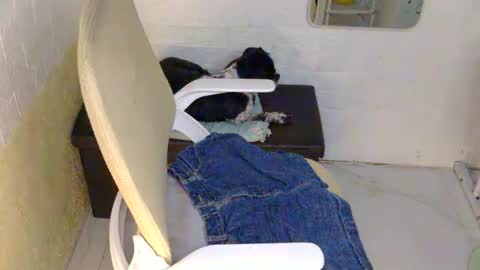 Snapshot of averageuncut1 chatting on 09/09/25, 02:49 Rhian online show from 09/09/25, 02:49