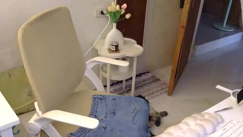 Snapshot of averageuncut1 chatting on 11/21/25, 03:05 Rhian online show from 11/21/25, 03:05