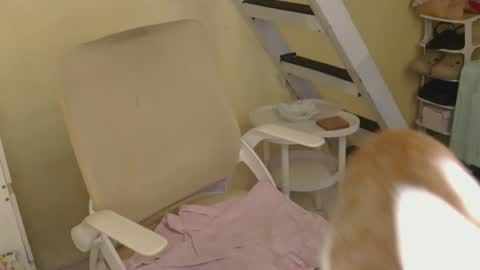 Snapshot of averageuncut1 chatting on 02/16/26, 03:24 Rhian online show from 02/16/26, 03:24