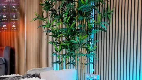 AVRILL CYRUX online show from 01/28/25, 11:49