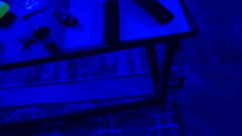 AylaTy online show from 09/28/25, 06:30