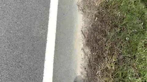 AylaTy online show from 03/15/26, 08:15