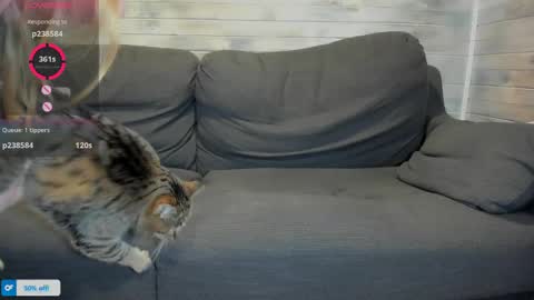 Maribel Bel online show from 04/16/26, 01:23