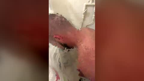 b44212157 online show from 04/14/26, 11:00