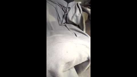 b4db0y online show from 03/07/26, 12:07