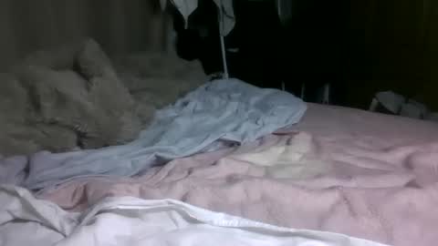 Ava online show from 04/16/26, 10:23