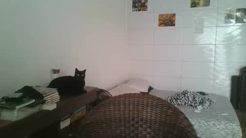 Snapshot of babydemon6 chatting on 11/14/25, 06:50 babydemon6 online show from 11/14/25, 06:50