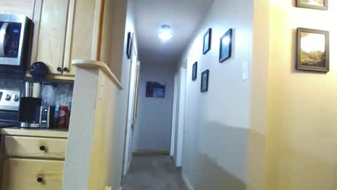 BabyDick online show from 01/21/25, 02:22