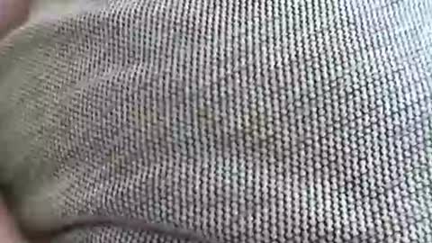 babydollxoxoxo123 online show from 04/07/26, 09:21