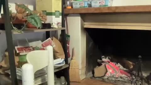 Snapshot of bach77 chatting on 12/12/24, 06:53 bach online show from 12/12/24, 06:53