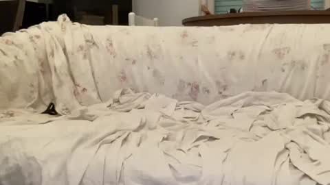 Snapshot of bach77 chatting on 02/12/25, 04:44 bach online show from 02/12/25, 04:44