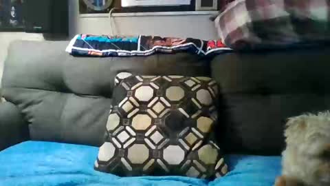 Snapshot of badcady0 chatting on 09/30/25, 03:22 badcady0 online show from 09/30/25, 03:22