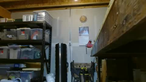 Snapshot of bagger251 chatting on 01/30/25, 03:19 Bagger online show from 01/30/25, 03:19