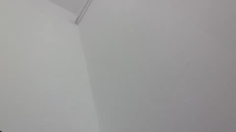 Snapshot of bahaedin chatting on 02/28/25, 11:47 Michael online show from 02/28/25, 11:47