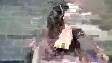 Snapshot of baielekker81578 chatting on 01/10/25, 11:54 Chaterlain online show from 01/10/25, 11:54