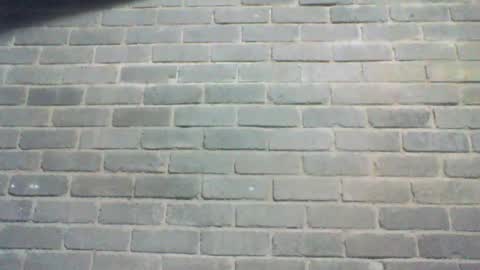 Snapshot of baielekker81578 chatting on 07/16/26, 08:31 Chaterlain online show from 07/16/26, 08:31