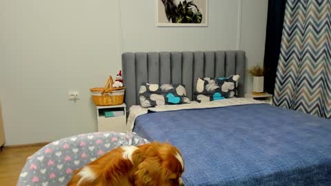 Snapshot of bam_bi chatting on 01/10/25, 04:41 Kira online show from 01/10/25, 04:41