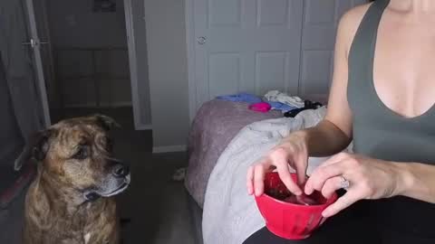 bambifarrina online show from 01/18/26, 05:11