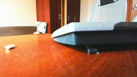 BananaBoy online show from 02/06/25, 09:43